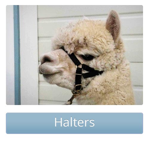 Halters