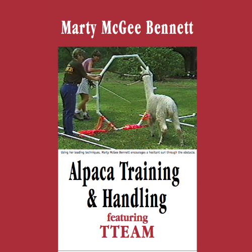 Alpaca Training and Handling with CAMELIDynamics