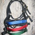 Size Matters! Full set of FOUR color coded llama halters