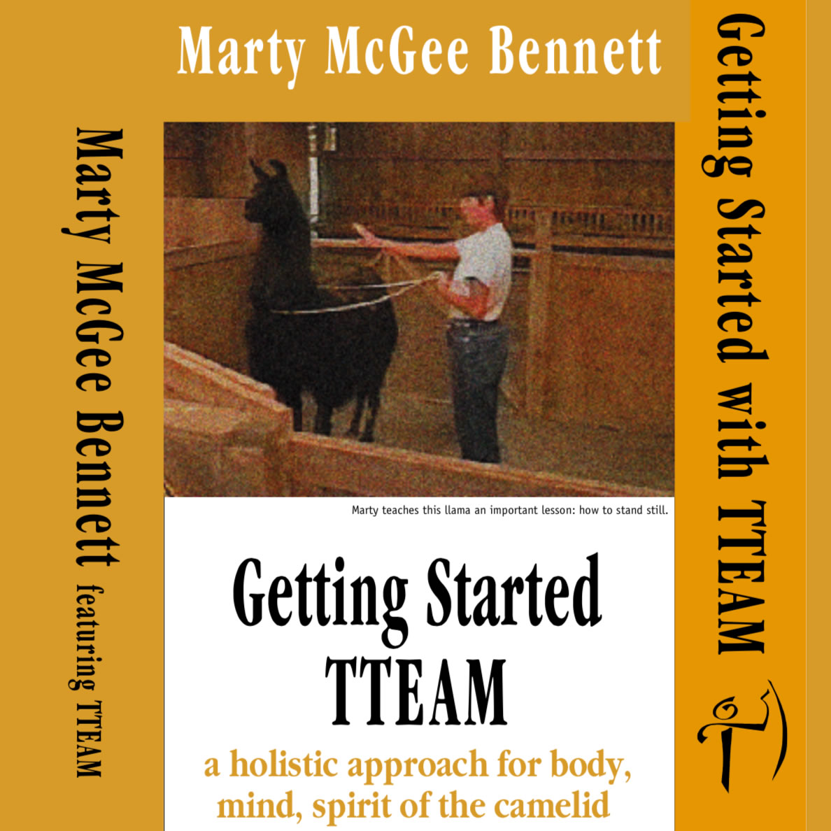 Getting Started with TTEAM (CAMELIDynamics)