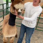 Neck Wrap
