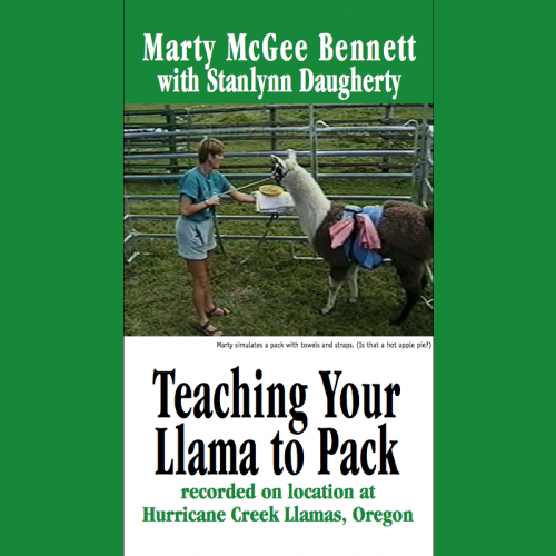 Teaching Your Llama to Pack