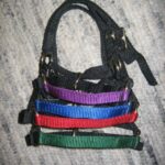 Size Matters! Full Set of FIVE Alpaca Halters