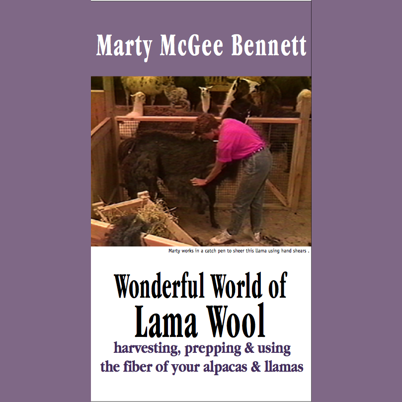 Wonderful World of Lama Wool