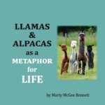 Llamas and Alpacas as a Metaphor for Life by Marty McGee Bennett